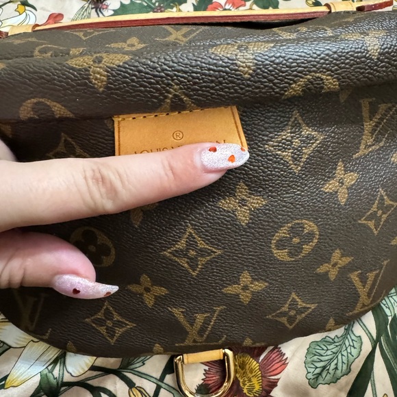 Monogram Bumbag Bag - Picture 4 of 14